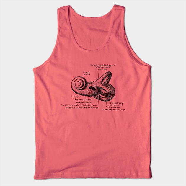 Inner Ear Anatomy Diagram Tank Top by Vintage Anatomy Prints